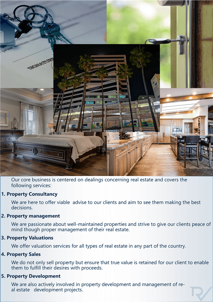 About Realtorville